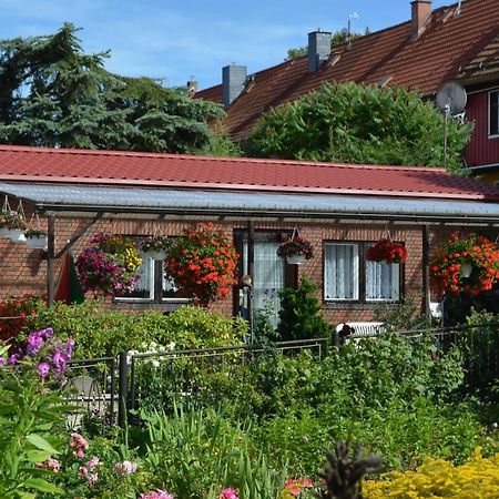 Bungalow Weidling Hasselfelde Eksteriør billede