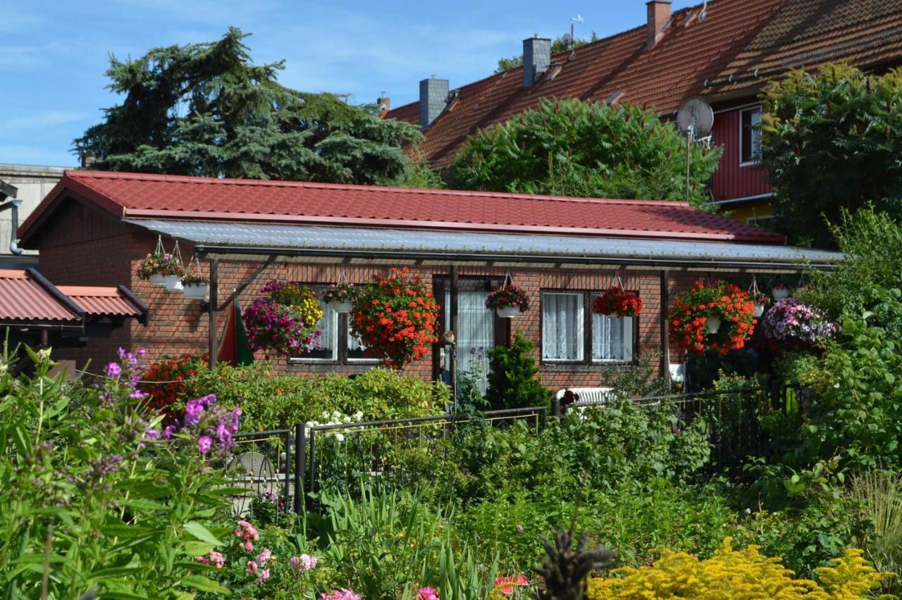 Bungalow Weidling Hasselfelde Eksteriør billede